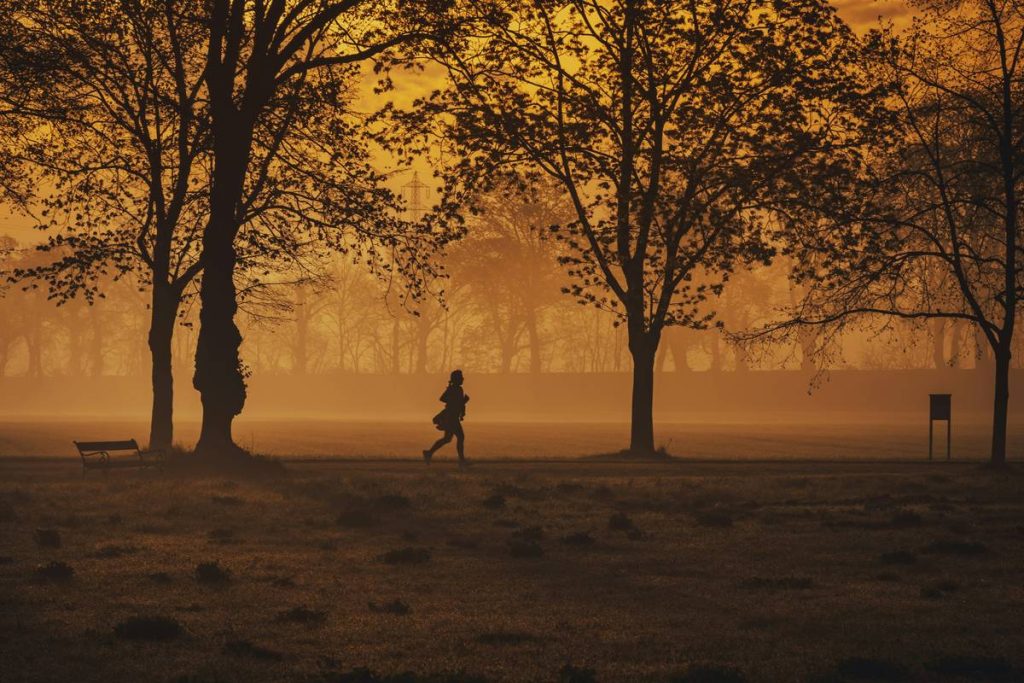 apple fitness beginner running: Your No-BS Start to Real Results