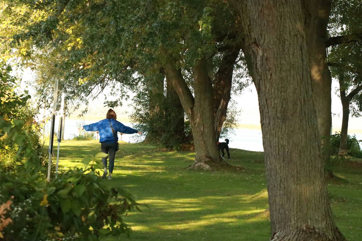 Beginner runner checking watch on scenic trail highlighting benefits of regular running